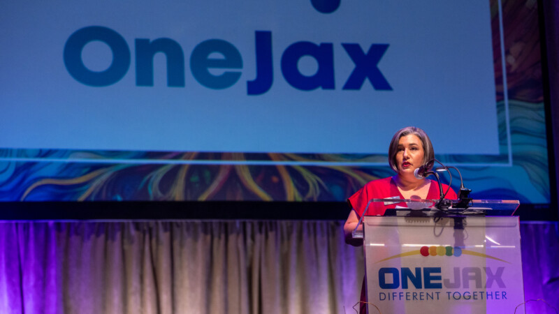Featured image for “Jax library board nominee Elizabeth Andersen voted down”